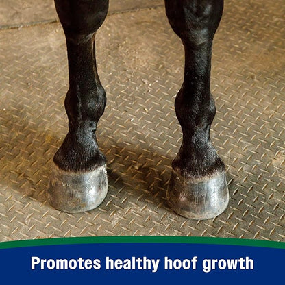 Farnam Horseshoer's Secret Pelleted Hoof Supplement for horses promotes healthy hoof growth, 11lb., 30 day supply