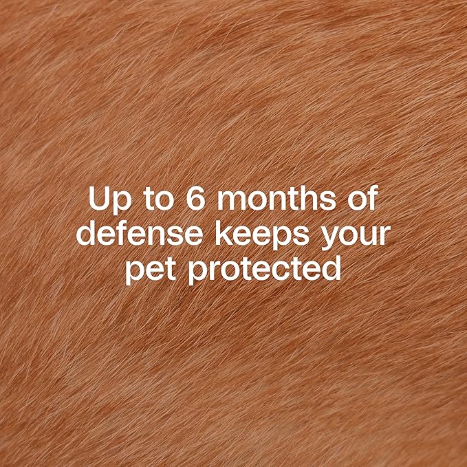 Adams Flea & Tick Collar Plus for Dogs & Puppies |2 Pack |12-Month Protection |One Size Fits All Dogs & Puppies 12 Weeks and Older |Kills Fleas and Ticks |Repels Mosquitoes (excluding California)