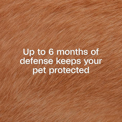 Adams Flea & Tick Collar Plus for Dogs & Puppies |2 Pack |12-Month Protection |One Size Fits All Dogs & Puppies 12 Weeks and Older |Kills Fleas and Ticks |Repels Mosquitoes (excluding California)