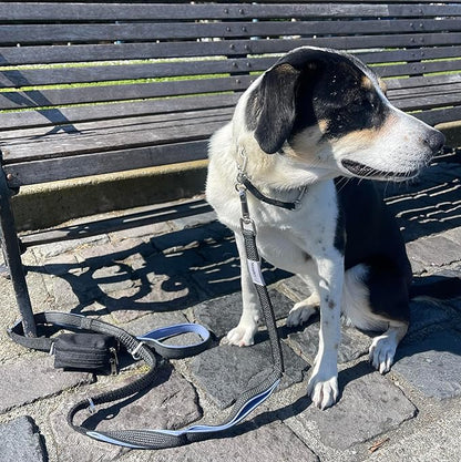 Dog Poop Bag Holder for Leashes - Dog Poop Bag Dispenser and Treat Holder with 2 Waterproof Pouches for Pet Waste Bags and Walking Accessories + 1 Free Roll - Leashrr 2.0 (Pink)