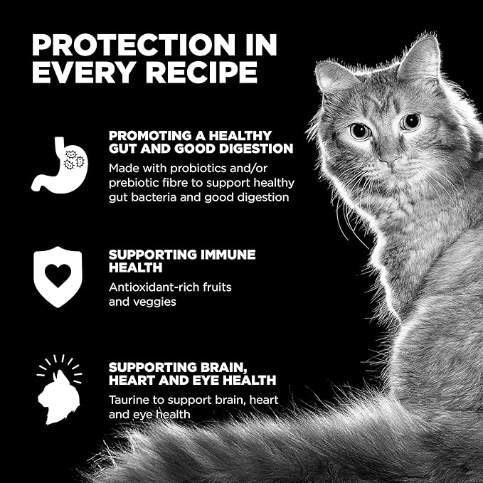 Go! Solutions Carnivore, Grain-Free, Protein Rich Dry Cat Food, Chicken, Turkey and Duck Recipe, 3 lb Bag