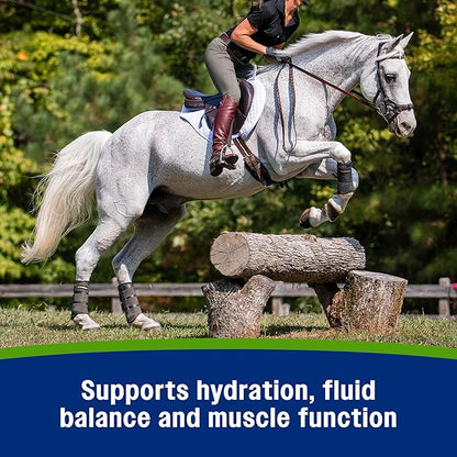 Farnam Apple Elite Electrolyte Paste Supplement for Horses, Replaces Vital Minerals, Encourages Hydration, No Added Sugar, 60 cc syringe