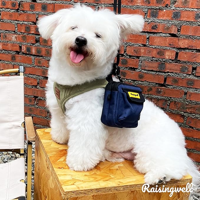 Dog Treat Pouch for Pet Walking and Training with Clicker, Poop Bags and Three Bags Design Small Fanny Zipper Pack Holder for Puppy Snack Dispenser Kit for Leash and Outdoor Use (Blue)