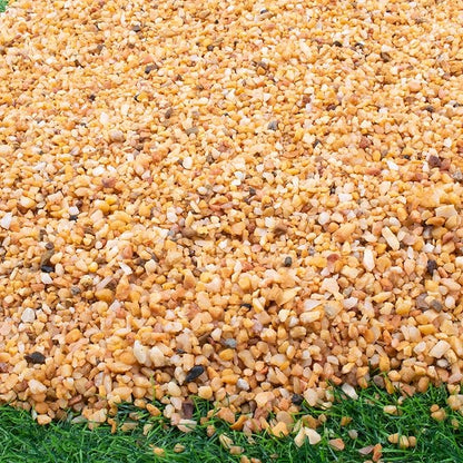 7lb Cactus Pea Gravel Rocks,1/5 Inch Pebbles for Indoor Plants, Natural Succulent Rock and River Rocks Decorative for Aquariums, Vases, Terrarium, Outdoor Gardening, Top Dressing for Potted Plants