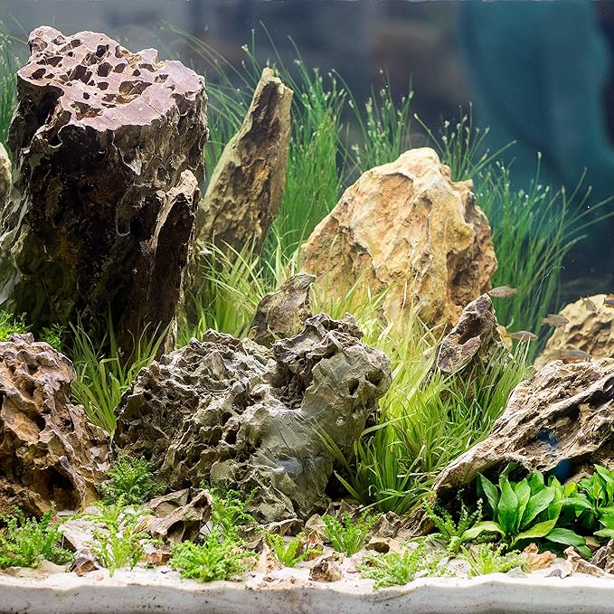 2-4 Inches Natural Dragon Stone 20 PCS Aquarium Rocks for Aquascaping, Aquarium Landscaping, Terrariums, Fish Tank Decoration, Vivariums, Paludarium, Reptile and Amphibian Enclosures