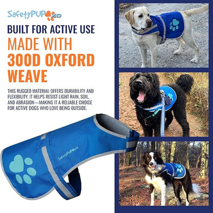 Dog Reflective Vest – Hi-Vis Fluorescent Visibility That Helps to Safeguard Your Pet On/Off Leash in Urban & Rural Areas (Blue, X-Large)