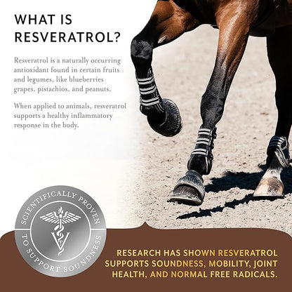 Equithrive Original Joint Supplement Powder with Resveratrol and Hyaluronic Acid for Horses, Equine Care, Molasses Flavor, 8 lbs