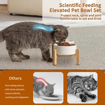 Elevated Ceramic Dog Bowl Set - Raised Feeding Bowls with Non-Slip Bamboo Stand - Small Pet Dishes for Food and Water - Ideal for Cats and Puppies - 16.23 OZ - 2 Cups - 480 ML