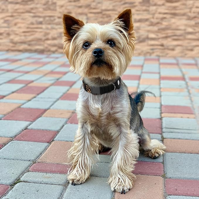 AirTag Dog Collar for Small Medium Large Breed - Adjustable Cute Pattern Dog Collar with Airtag Holder - Soft Leather Tracker GPS Apple Air Tag Pet Collars (Medium, 14"-18" Neck Fit, Leopard)