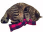 15" Catnip Cat Kicker Toys/Kitty Kick Sticks/Cat-Nip Kick Sticks (Red/Black Flannel) (Kickers Filled with 1 oz Premium Canadian Catnip)