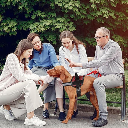 Dogline Dog Harness, Reflective No-Pull Adjustable Vest with Handle for Walking, Training, Breathable, No - Choke Harness for Small, Medium or Large Dogs Room for Patches Zebra Black/Red L 27"-34"