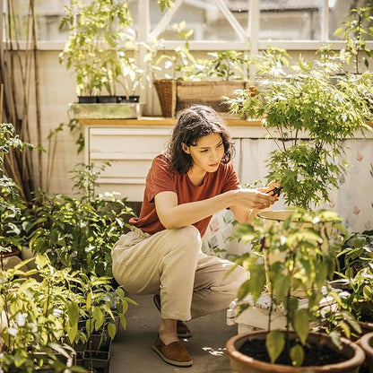 Fiskars 6" Pruning Scissors for Flowers, Buds, Weeds and Small Plants, Garden Snips with Resin Resistant Nonstick Stainless Steel Blades, Gardening Trimmers with Comfortable Handle