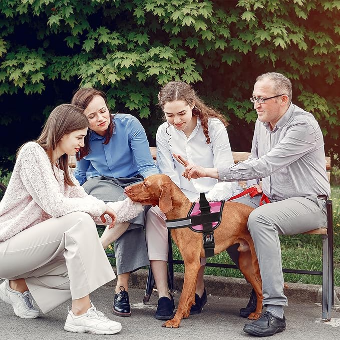Dogline Dog Harness, Reflective No-Pull Adjustable Vest with Handle for Walking, Training, Breathable, No - Choke Harness for Small, Medium or Large Dogs Room for Patches Girth 33"-46" in Pink Camo