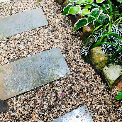 2lbs Fish Tank Rocks, 1/4 Inch Pea Gravel for Fish Tank, Decorative River Rocks for Aquarium Succulent Cactus Plant Vase Fillers Soil Cover and Outdoor Landscaping Stones