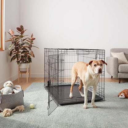 Amazon Basics Durable, Foldable Metal Wire Dog Crate with Tray, Double Door, 48 x 30 x 32.5 in, Black