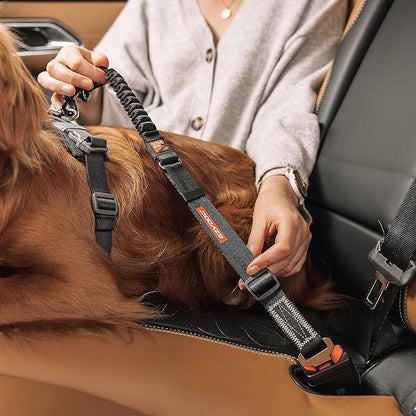 EzyDog Zero Shock Click - Shock Absorbing Dog Seat Belt Car Harness Attachment for Dogs - Adjustable Dog Restraints Seatbelts for Car Travel and Safety - (20in - 26in, Black)