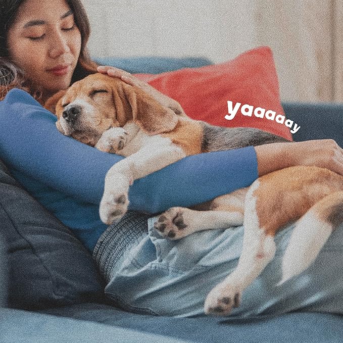 Adams Flea & Tick Collar Plus for Dogs & Puppies |2 Pack |12-Month Protection |One Size Fits All Dogs & Puppies 12 Weeks and Older |Kills Fleas and Ticks |Repels Mosquitoes (excluding California)